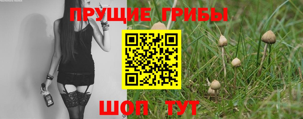 Галлюциногенные грибы MAGIC MUSHROOMS Карачаевск